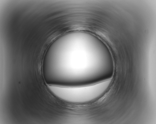 X0000088731273200705311109