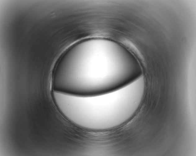 X0000088731276200705311109
