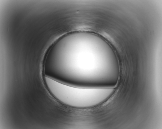 X0000088731277200705311109