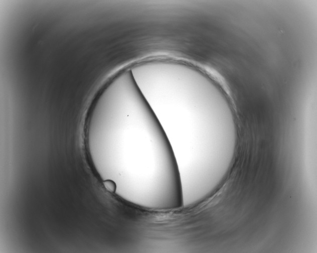 X0000088731279200705311108