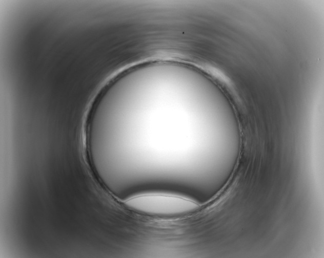 X0000088731280200705311108