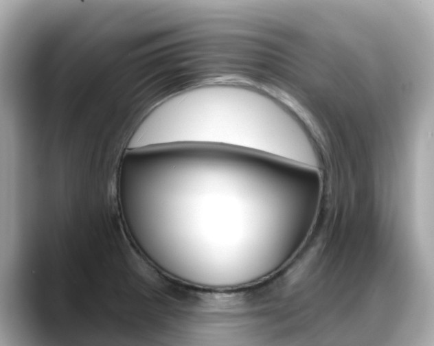 X0000088731281200705311108