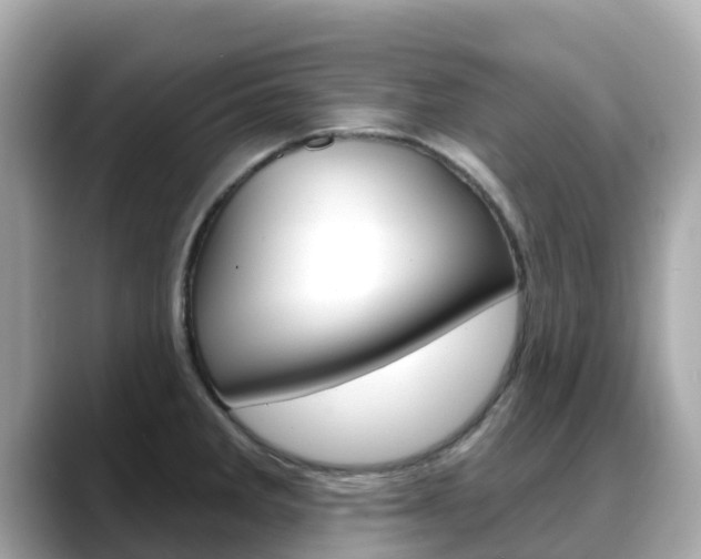 X0000088731285200705311108