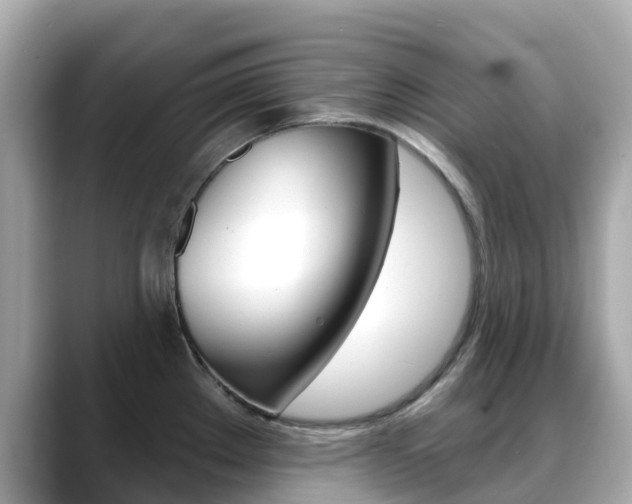 X0000088731289200705311108