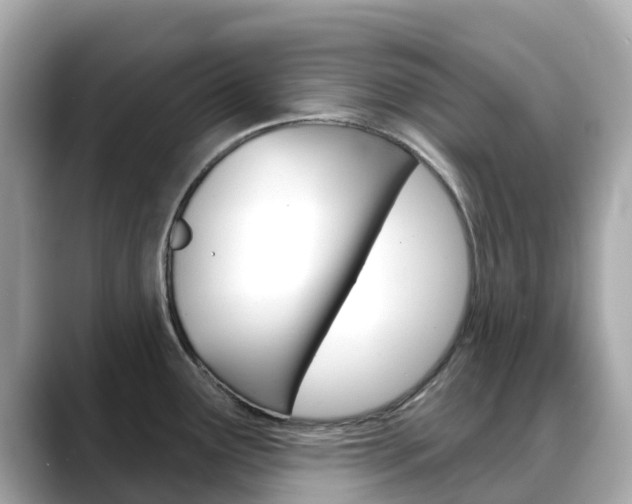 X0000088731291200705311108