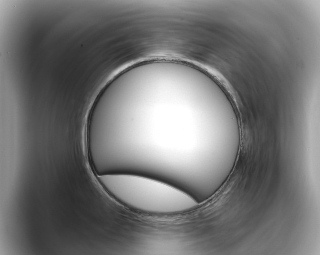 X0000088731295200705311108
