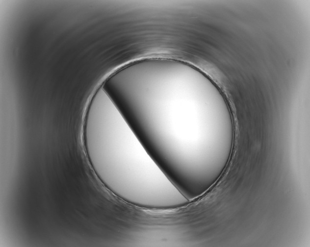 X0000088731296200705311108