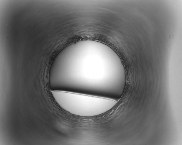 X0000088731297200705311108