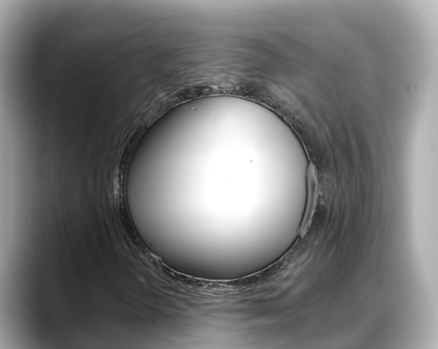 X0000088731298200705311108