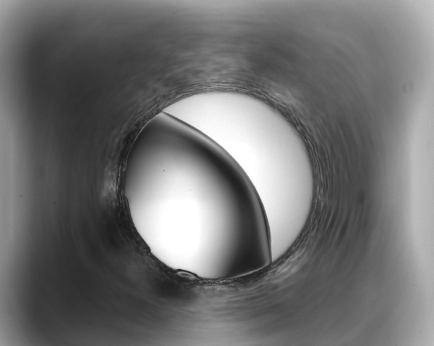 X0000088731300200705311108