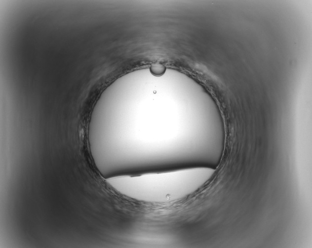 X0000088731302200705311108