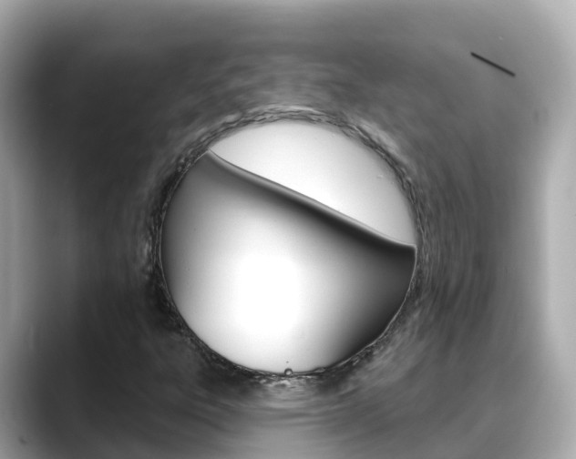 X0000088731303200705311108