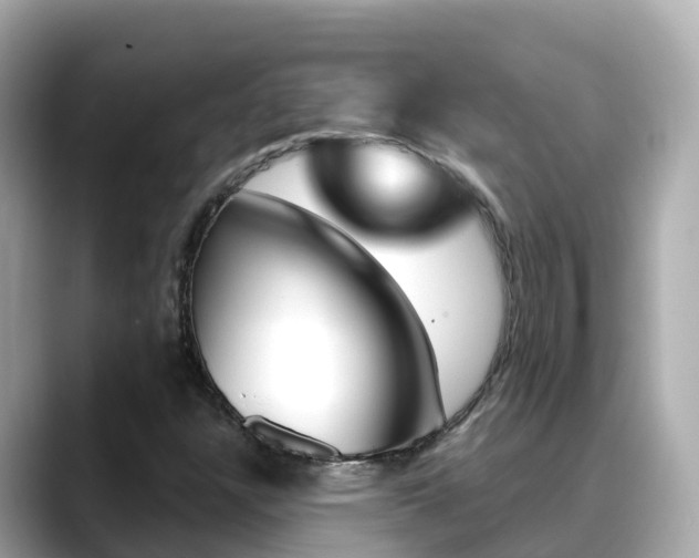 X0000088731304200705311108
