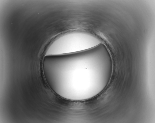 X0000088731307200705311108