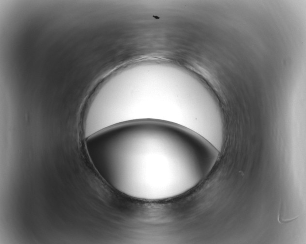 X0000088731308200705311108