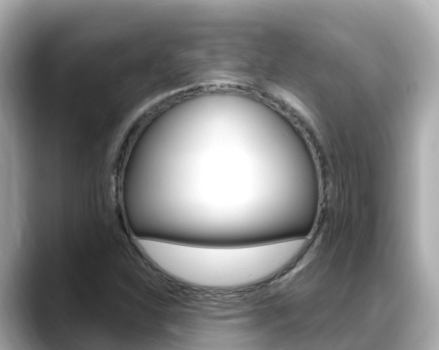 X0000088731310200705311108