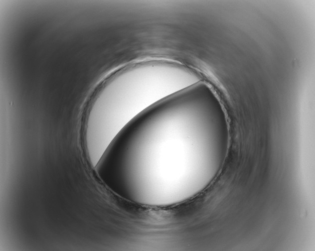 X0000088731312200705311108