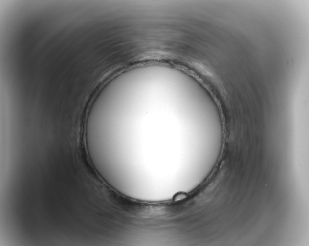X0000088731313200705311108