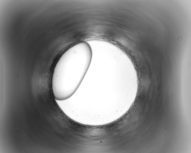 X0000088731314200705311108