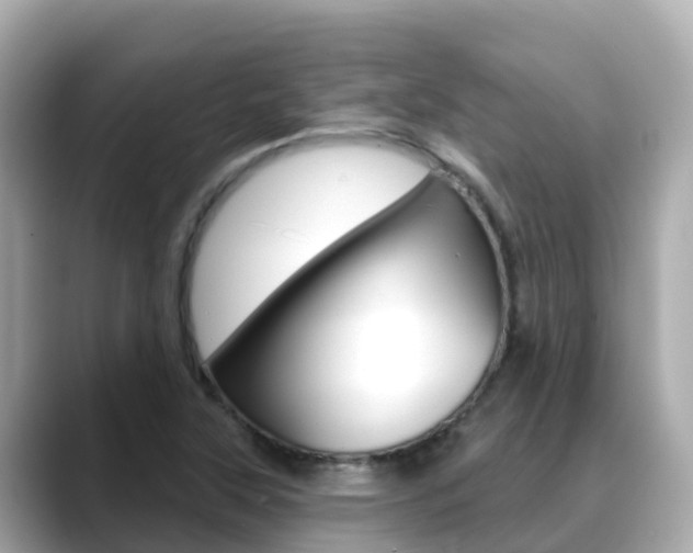 X0000088731315200705311108