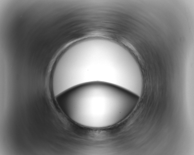 X0000088731323200705311108