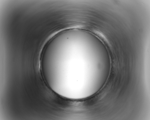 X0000088731324200705311108