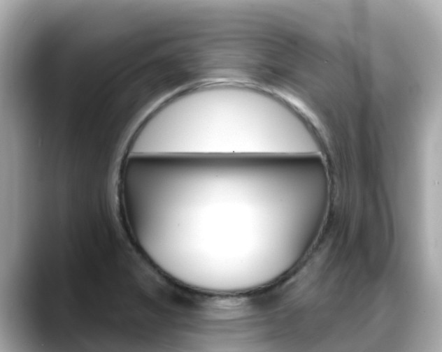 X0000088731325200705311108