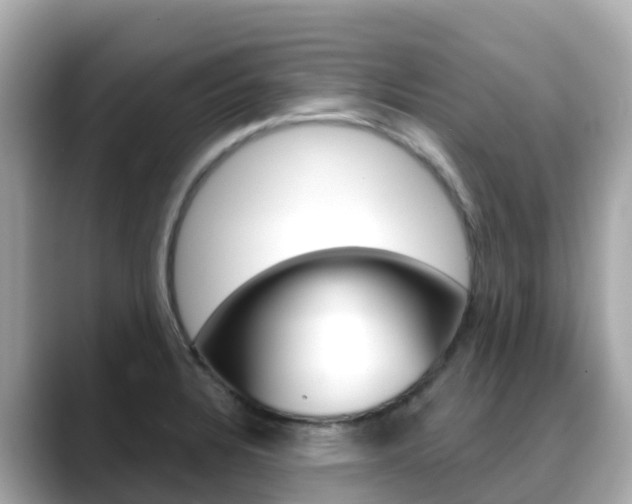 X0000088731328200705311108