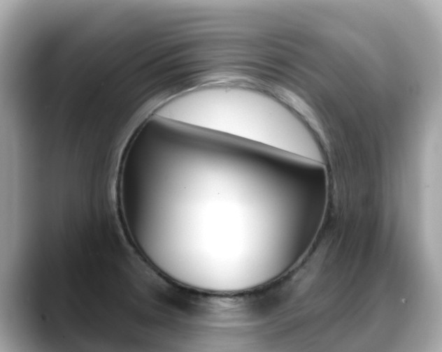 X0000088731330200705311108