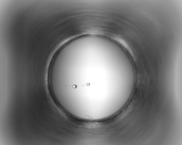 X0000088731331200705311108