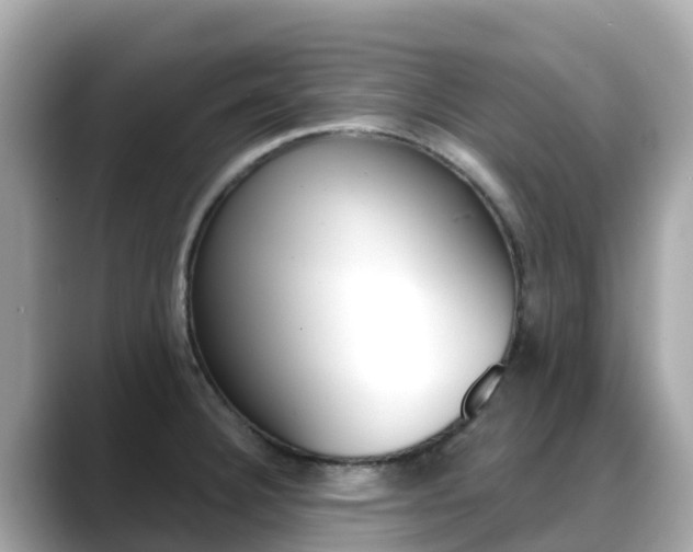 X0000088731332200705311108