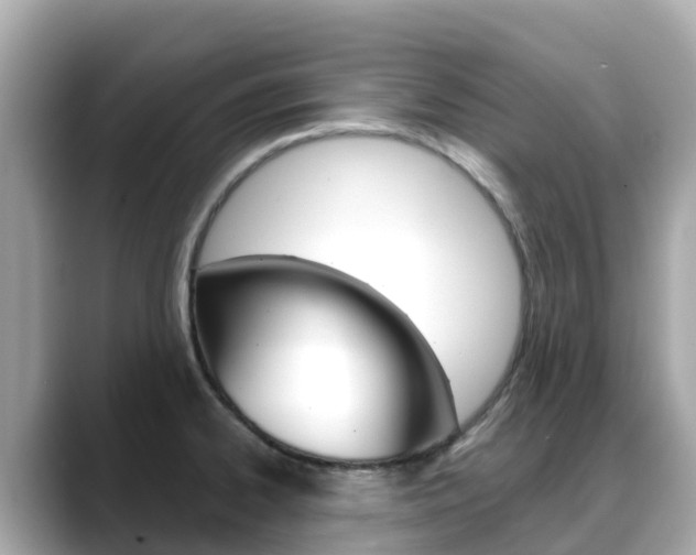 X0000088731334200705311108