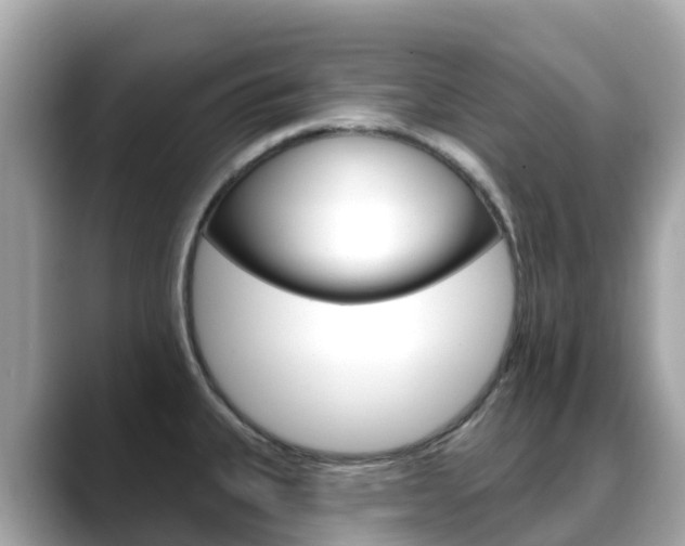 X0000088731335200705311108