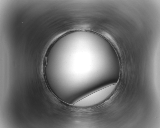 X0000088731336200705311108
