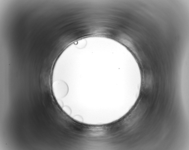X0000088731338200705311108