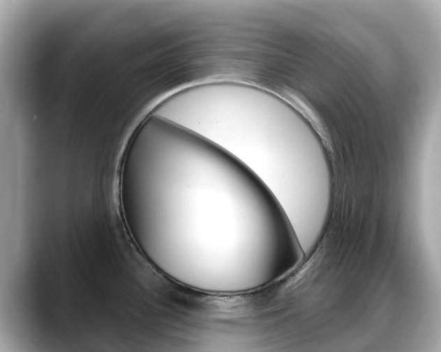 X0000088731340200705311108