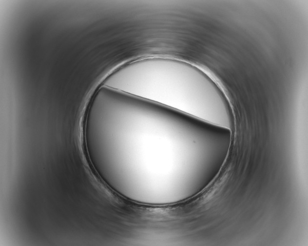 X0000088731341200705311108