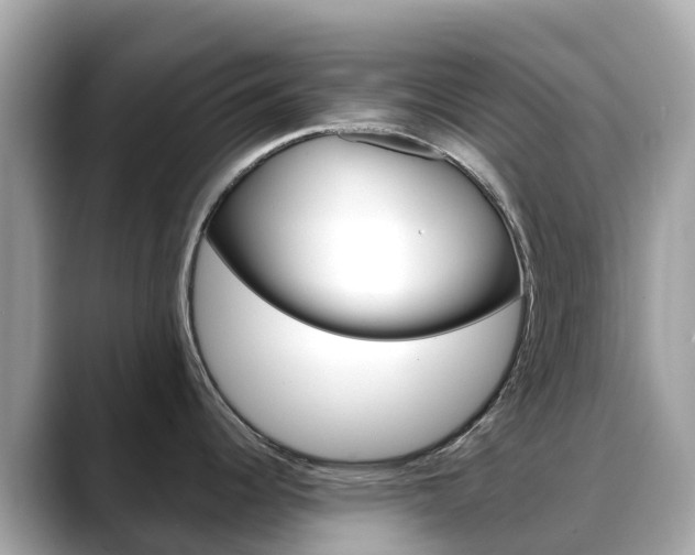 X0000088731344200705311108