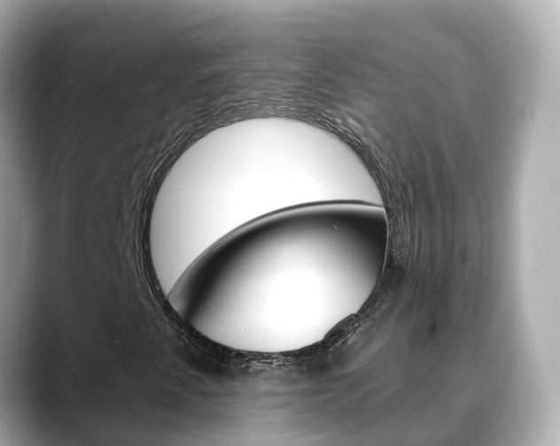 X0000088731345200705311108