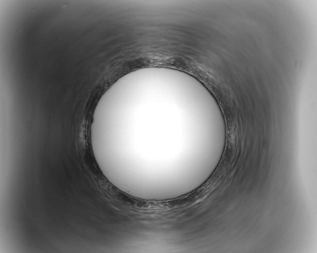 X0000088731346200705311108