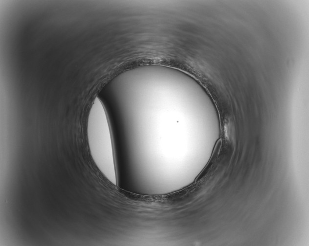 X0000088731347200705311108