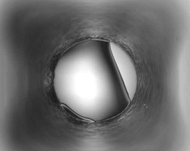 X0000088731349200705311108