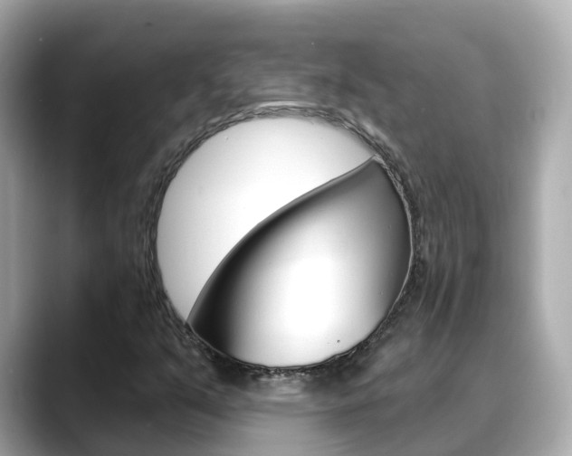 X0000088731351200705311108