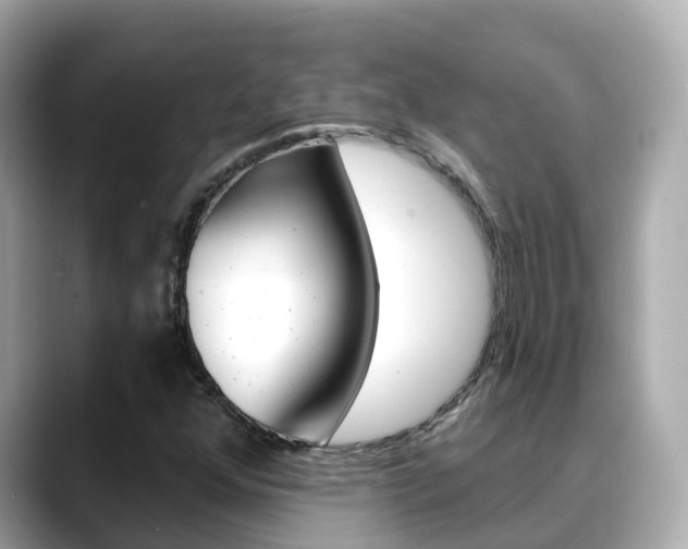 X0000088731352200705311108