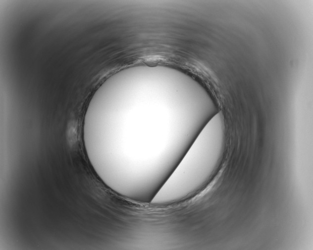 X0000088731353200705311108