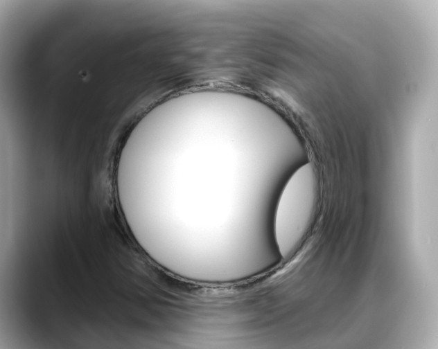 X0000088731354200705311108