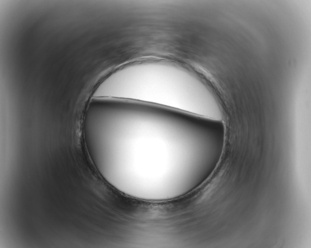 X0000088731355200705311108