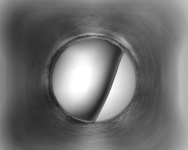 X0000088731360200705311108