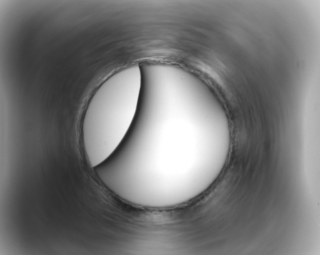 X0000088731362200705311108