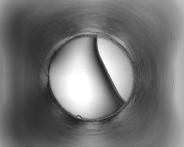 X0000088731363200705311107